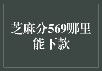 芝麻分569：探索提升信用评分与寻找贷款机会的策略