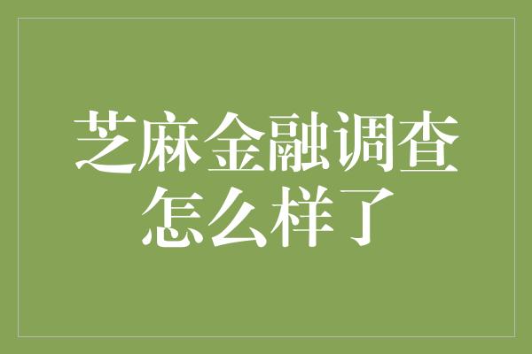 芝麻金融调查怎么样了