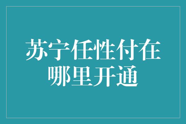 苏宁任性付在哪里开通