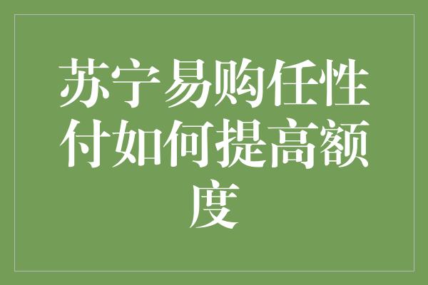 苏宁易购任性付如何提高额度