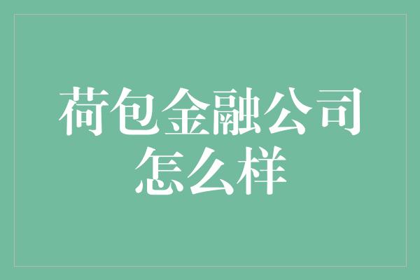 荷包金融公司怎么样