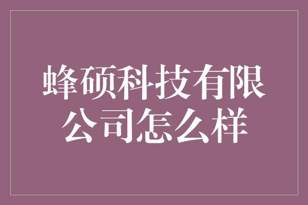 蜂硕科技有限公司怎么样