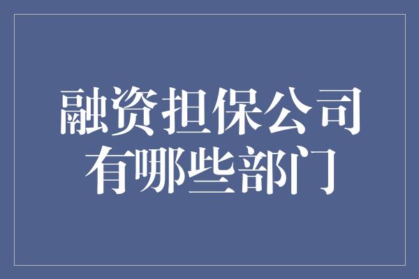 融资担保公司有哪些部门