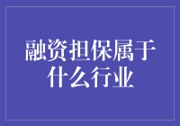 融资担保行业：金融生态链中的纽带