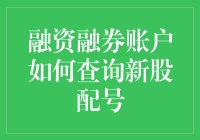 融资融券账户查询新股配号详解：从概念到操作指南