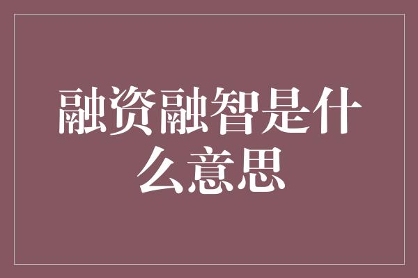 融资融智是什么意思