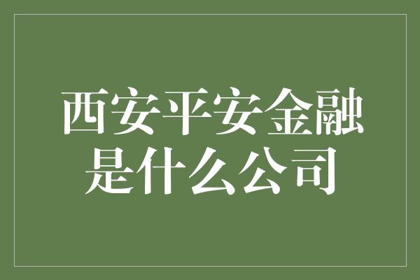 西安平安金融是什么公司