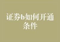 证券B开通条件：从入门到精通的完整指南