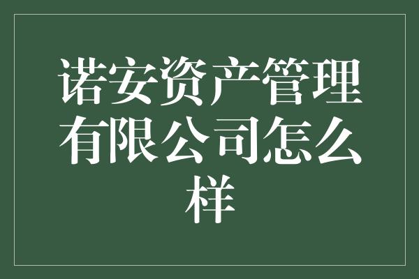 诺安资产管理有限公司怎么样