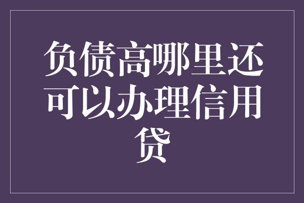 负债高哪里还可以办理信用贷