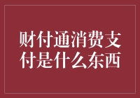 财付通消费支付是啥玩意儿？咱们聊聊呗！