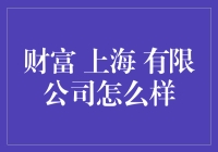 上海财富有限公司：一场为期一年的财富冒险