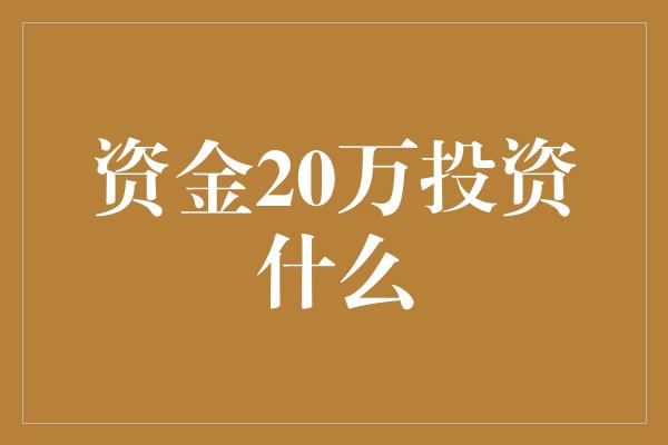 资金20万投资什么