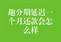 趣分期延迟一个月还款会怎么样？深度解读消费者权益保护与应对策略