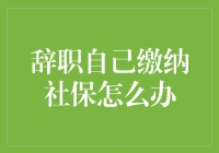 辞职后如何自己缴纳社保：策略与详解