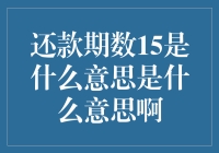 15个月还款期数的神秘含义：一探究竟