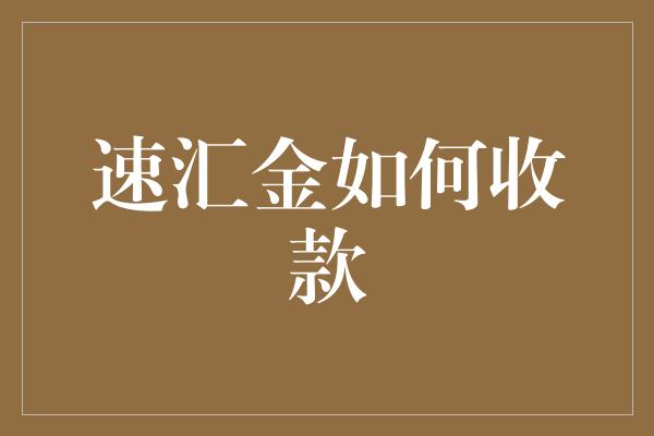 速汇金如何收款