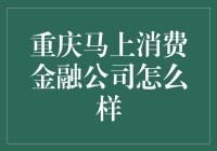 重庆马上消费金融公司：金融科技领域的行业先锋