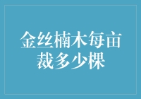 金丝楠木每亩裁多少棵：从造林新手到资深农民的奇幻之旅