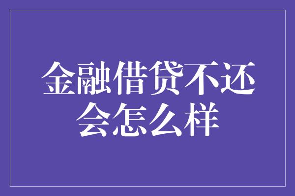 金融借贷不还会怎么样