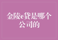 金陵e贷：互联网金融领域的创新探索者