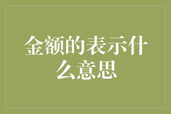 金额的表示什么意思