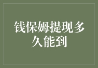 钱保姆提现多久能到？——揭秘资金的迷踪