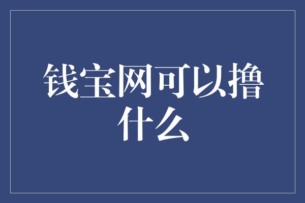 钱宝网可以撸什么