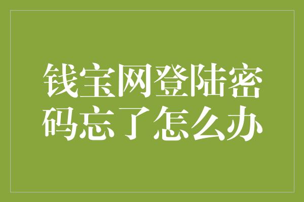 钱宝网登陆密码忘了怎么办