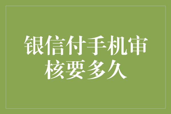 银信付手机审核要多久