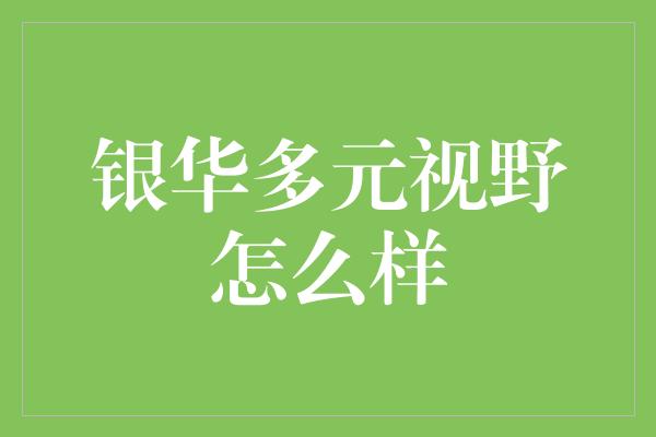 银华多元视野怎么样