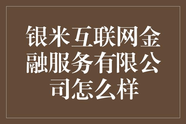 银米互联网金融服务有限公司怎么样