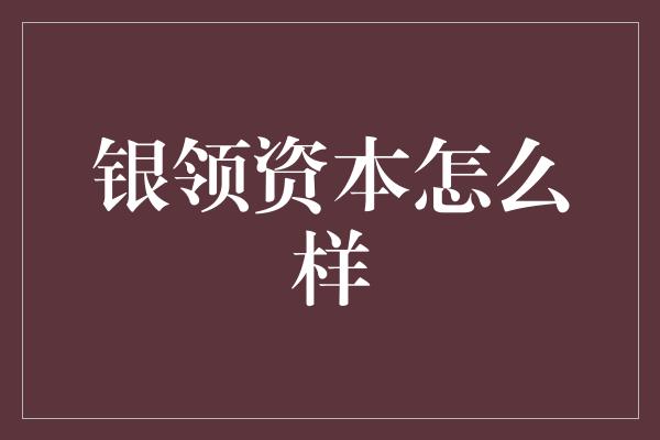 银领资本怎么样