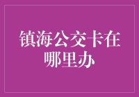 公交卡哪家强？镇海街头走一遭！