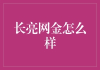 探索长亮网金：数字化转型的领航者