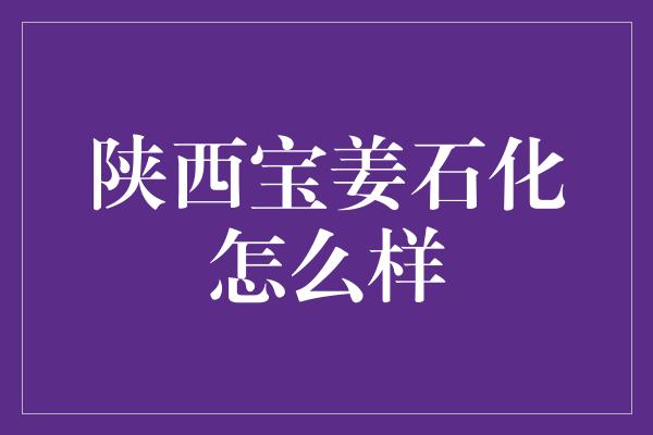 陕西宝姜石化怎么样