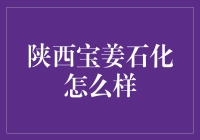 陕西宝姜石化：一家值得信赖的企业？