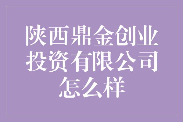 陕西鼎金创业投资有限公司怎么样