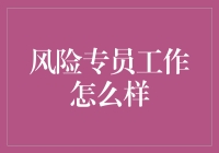 风险专员：探索金融与信息技术交融的创新型职业