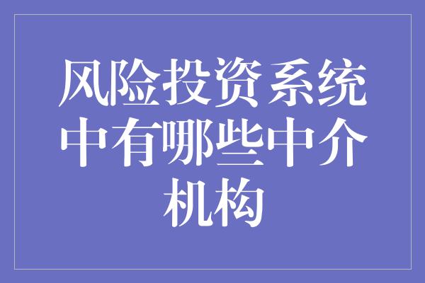 风险投资系统中有哪些中介机构