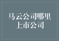 马云公司——阿里巴巴：全球上市公司的典范与启示