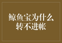 鲸鱼宝不转帐：一种新型网络支付问题的探讨