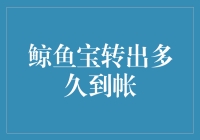 鲸鱼宝转出多久到帐？比鲸鱼游得还慢，你信不信？