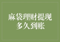 探讨麻袋理财提现到账时间：多维度解析与策略建议