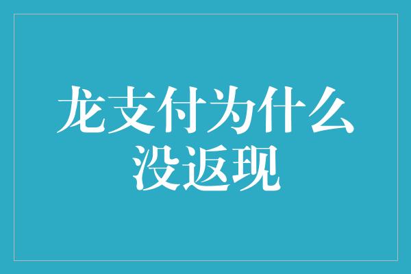 龙支付为什么没返现