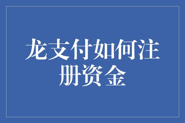 龙支付如何注册资金