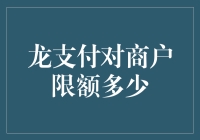 龙支付商户限额解析：从规则到实操