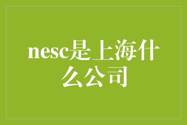 nesc是上海什么公司