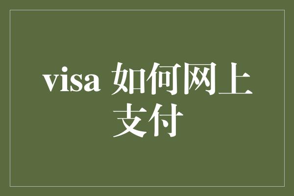 visa 如何网上支付